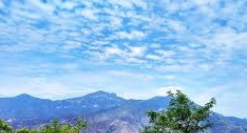 热点企划局 - 色花堂官网 - 热点事件营销玩法研究实验室
